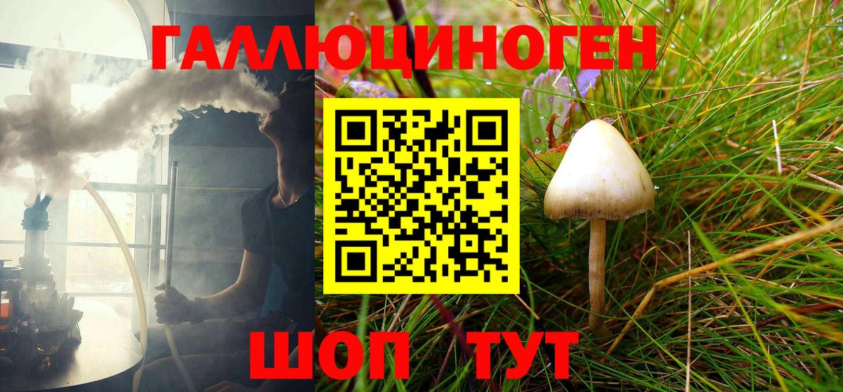 Псилоцибиновые грибы мухоморы Курчалой