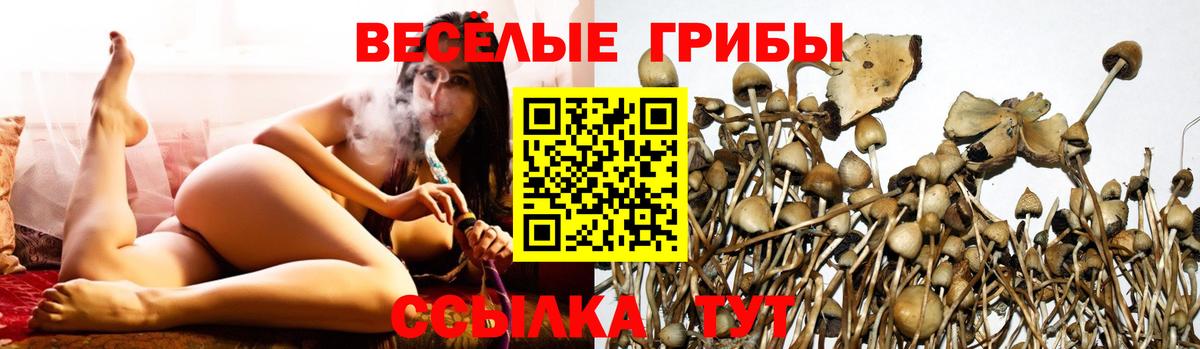 Псилоцибиновые грибы Cubensis  Вход с VPN  Курчалой 